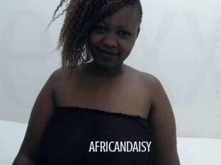 AFRICANDAISY