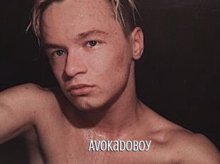 AvokadoBoy