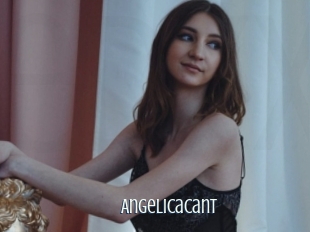 Angelicacant