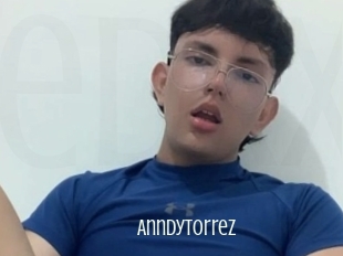 Anndytorrez