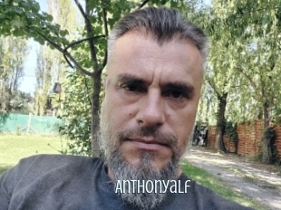 Anthonyalf