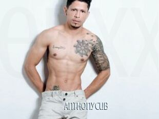 Anthonycub