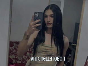 Antonellatobon