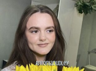 Antoniadudley