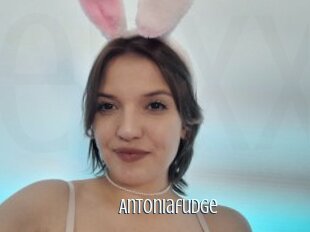 Antoniafudge