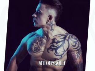 Antonygold