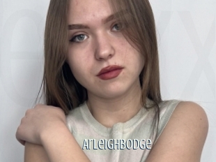 Arleighbodge