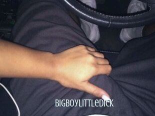 BigBoyLittleDick