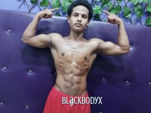 BlackBodyX