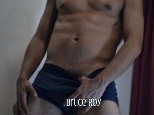 Bruce_Roy