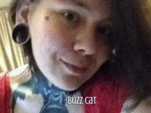 Buzz_Cat