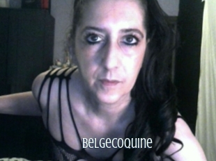 Belgecoquine