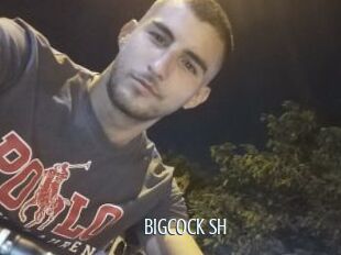 Bigcock_sh