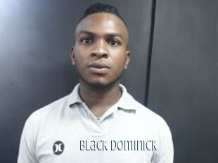 Black_dominick