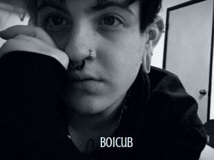 Boicub