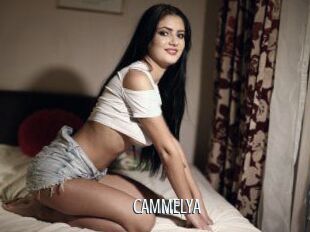 CAMMELYA_