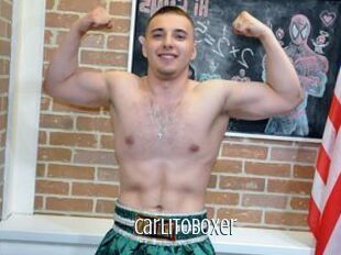 CarlitoBoxer