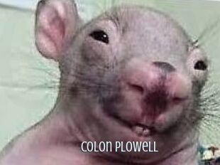 Colon_Plowell