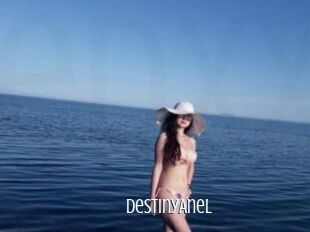 DestinyAnel