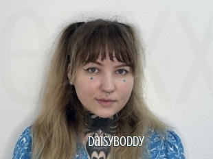 Daisyboddy