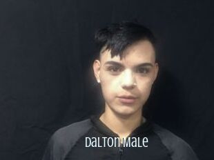 Dalton_Male