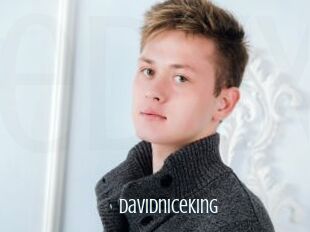 Davidniceking