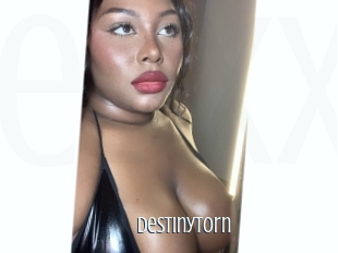 Destinytorn