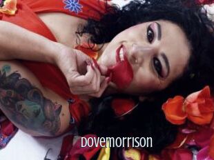 Dovemorrison