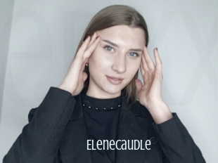 Elenecaudle