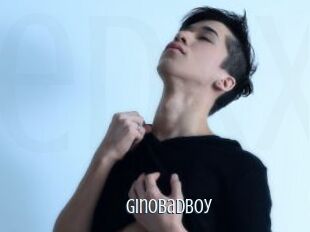 Ginobadboy