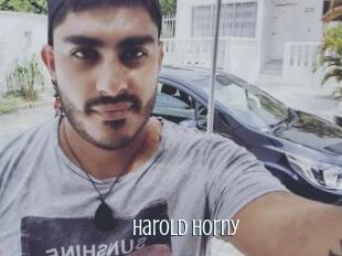 Harold_horny