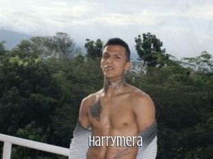 Harrymera