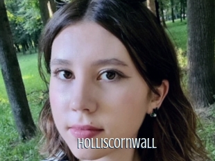 Holliscornwall