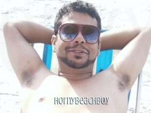 Hornybeachboy