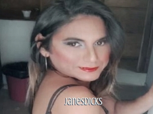 Janesdicks