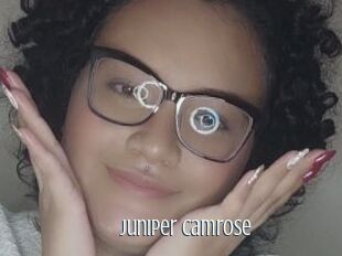 Juniper_camrose