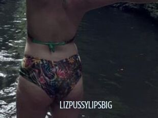 LIZPUSSYLIPSBIG