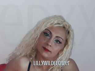 Lillywildflower