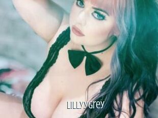 LillyyGrey