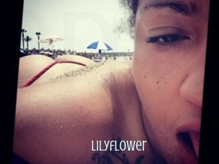 Lilyflower