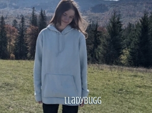 Lladybugg