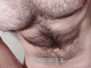 Marcobear18