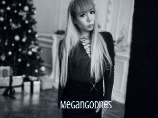 Megangodnes