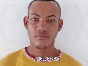 Mieldefresa