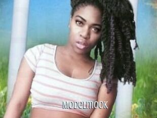 Modelmook