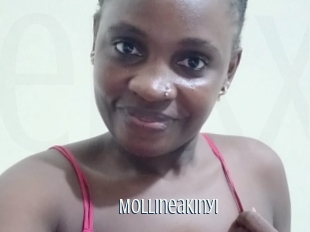 Mollineakinyi