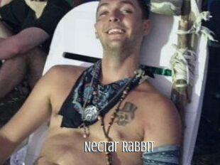 Nectar_Rabbit