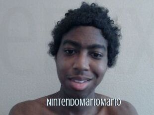 NintendoMarioMario