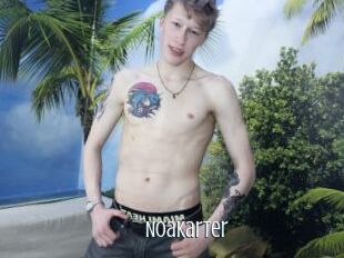 Noakarter