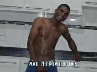 POOL_THE_MOSTER_COCK